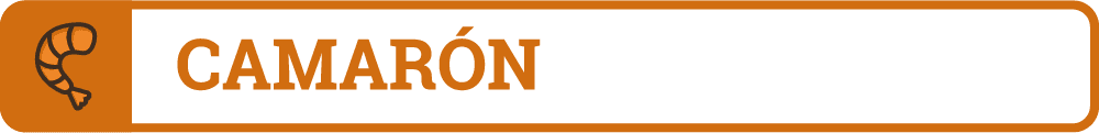 Camarón