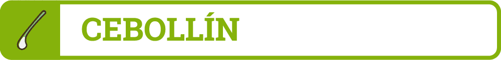 Cebollin